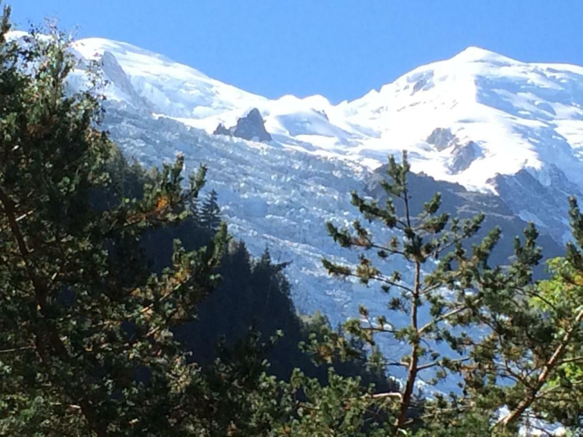 Chalet Des Petits Loups Chamonix Esterno foto