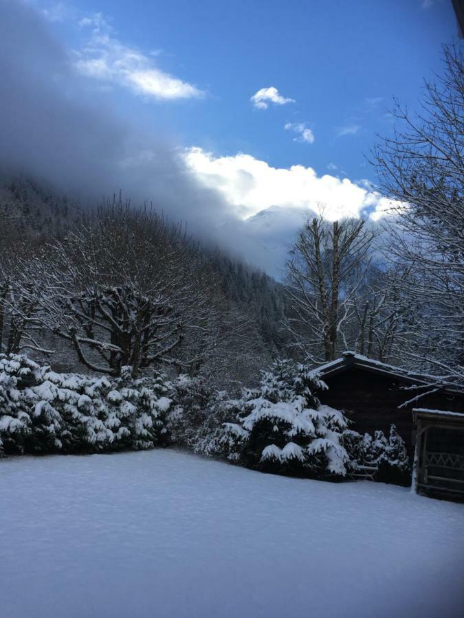 Chalet Des Petits Loups Chamonix Esterno foto
